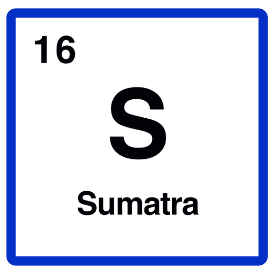 Sumatra  Batak - Dry Hulled